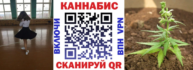Марихуана индика  где продают   гидра как зайти  Николаевск-на-Амуре 